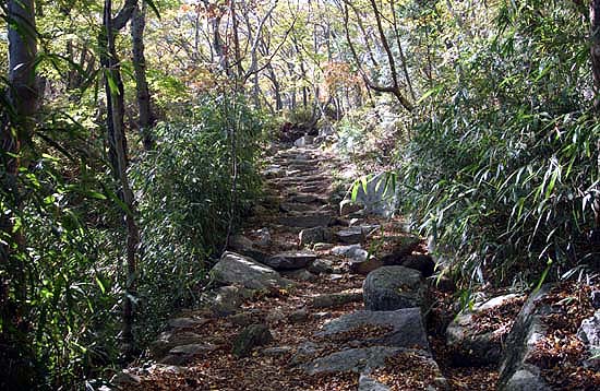 머릿속으로 그리던 산사 찾아가는 길은 원효암 가는 길에 있었다. 